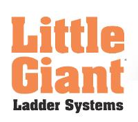 Little Giant Ladders image 1